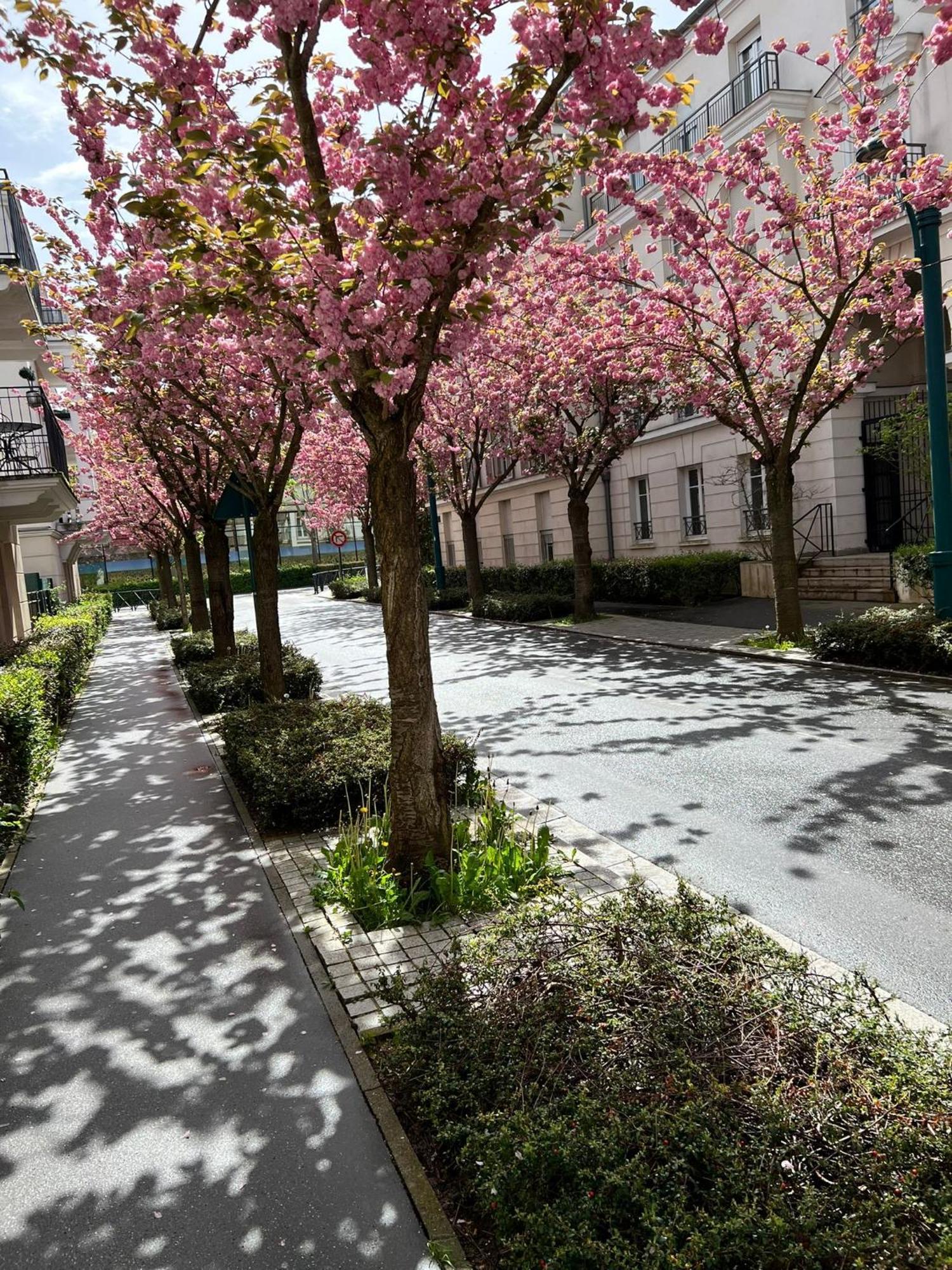 Sweet Appartement Disneyland Paris Parking 300M Station Val D'Europe 쉐시 외부 사진